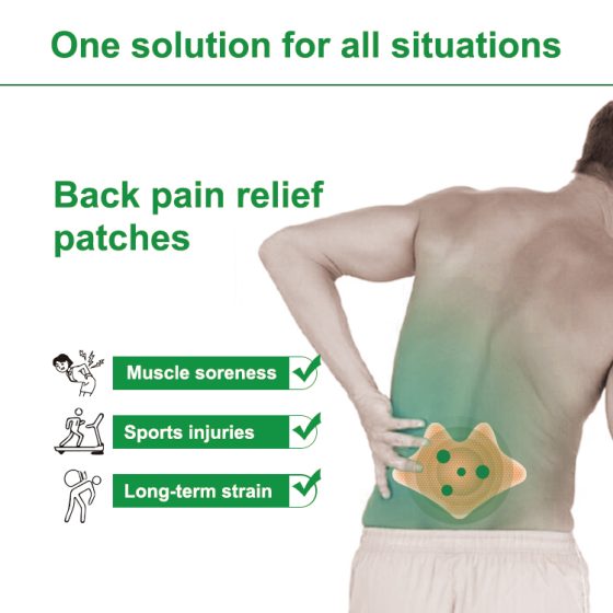 Back pain patch chinese Lower back pain at spine 8hours therapy Health care products 2024 trending products For work Wholesale